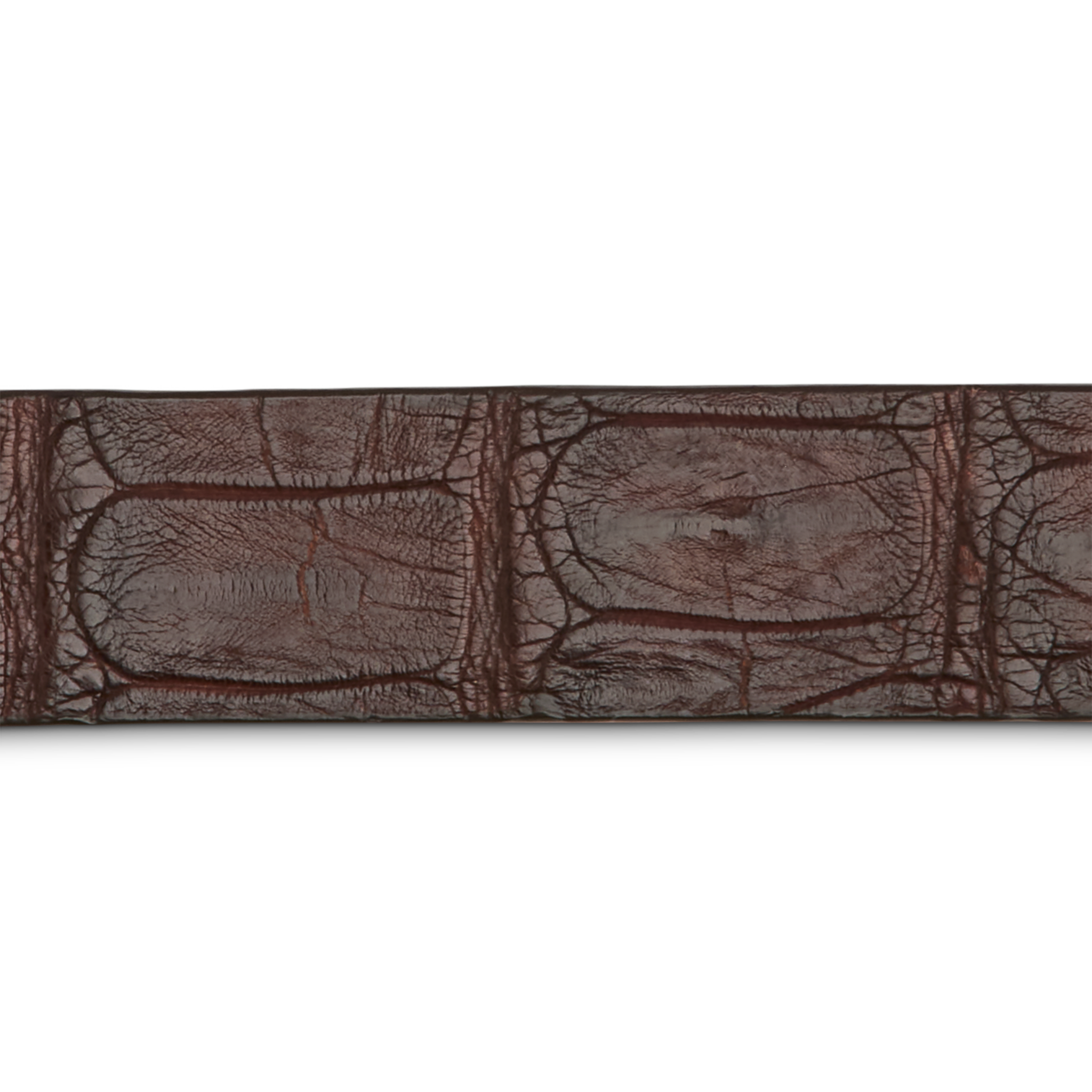 Exotic Dress Belt :: Brown