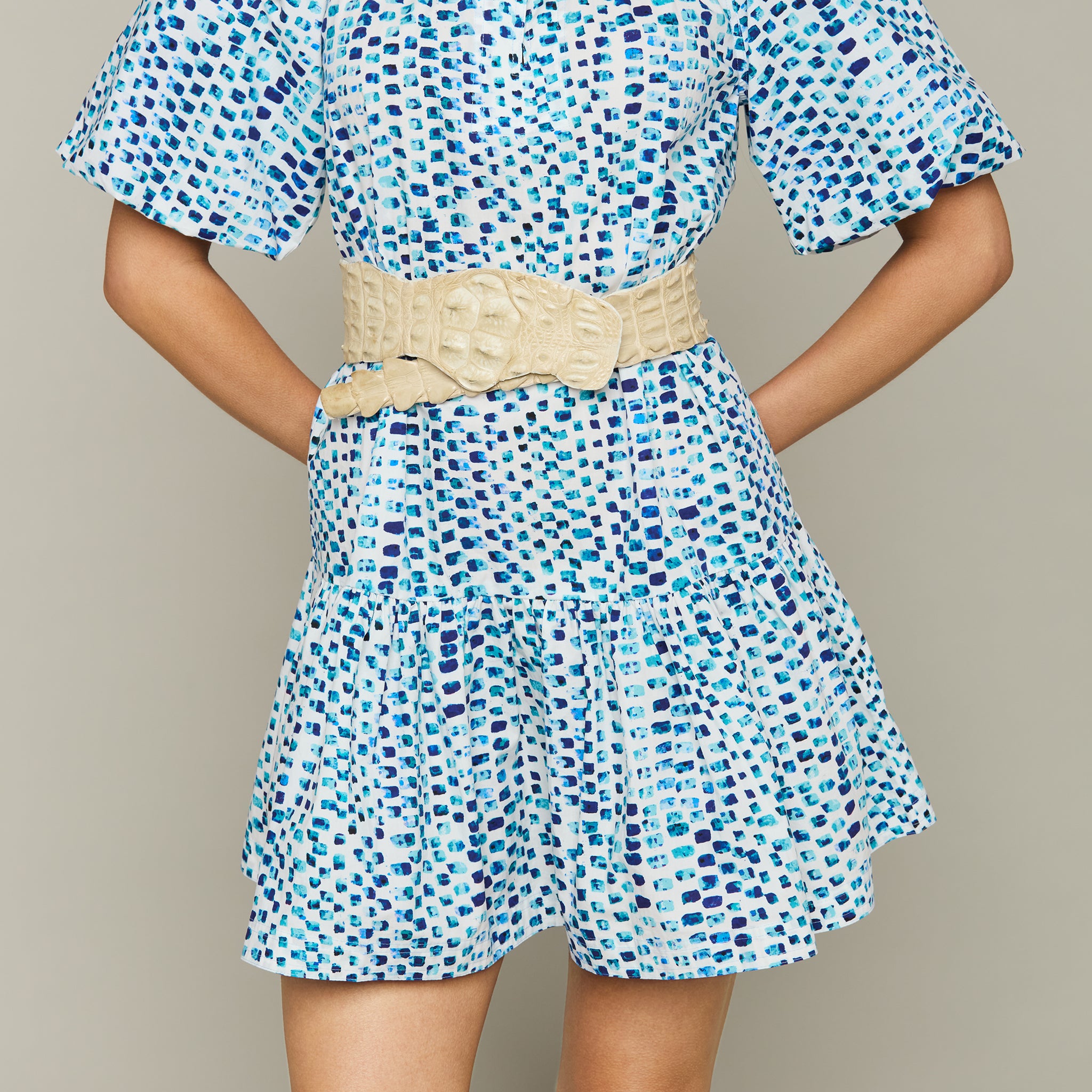 Groves Dress :: Multi Blue