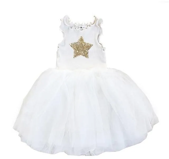 Starlight Princess Dress - Priority Shipping